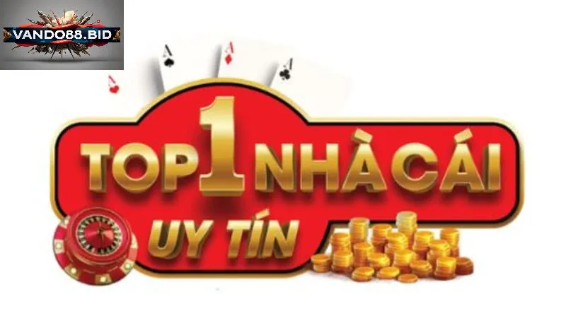 Hướng Dẫn Sử Dụng Thông Tin vando88 Để Tối Ưu Trải Nghiệm Cá Cược