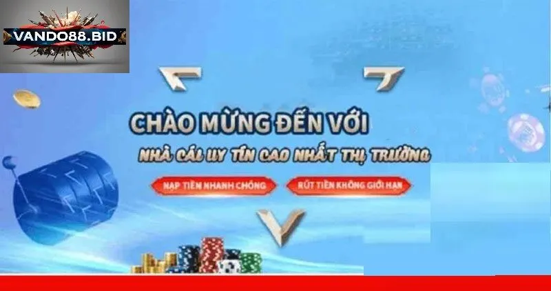 Thông Tin vando88 Là Gì? 