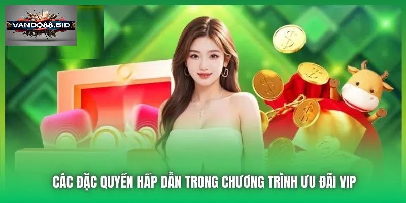 Ưu Đãi VIP - Tận Hưởng Cùng Vando88 Đỉnh Cao Cá Cược 