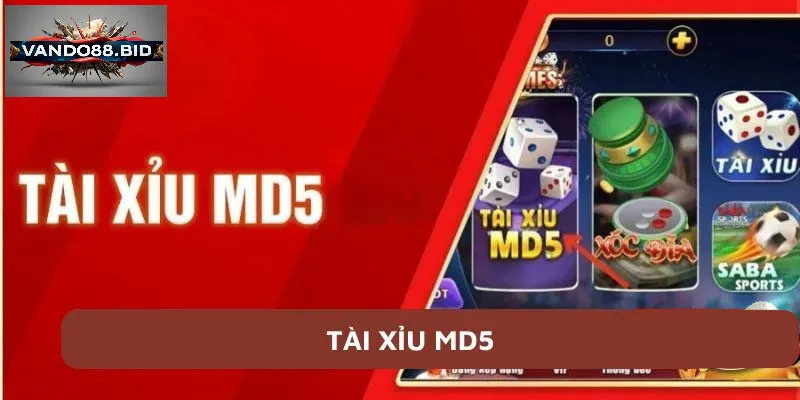 Cách chơi Tài xỉu md5 cực dễ dành cho người mới tham gia