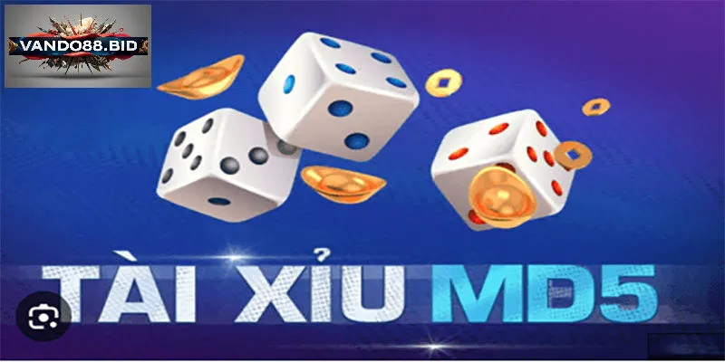 Tài xỉu md5 - Trải nghiệm cá cược đỉnh cao tại Vando88